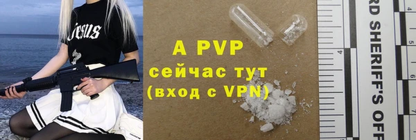 СК Дмитров