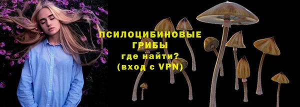PSILOCYBIN Алексин